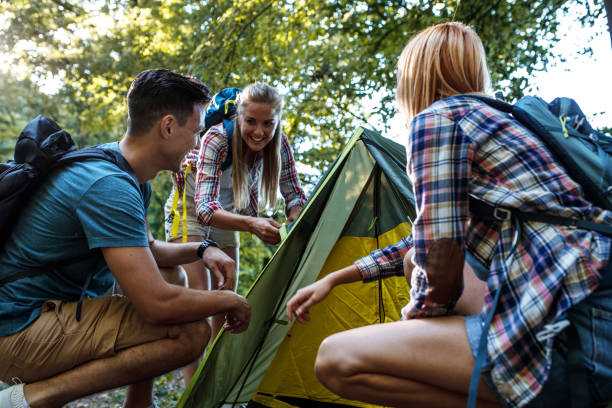 istock Young group of hikers assembling tent in camp area. 1314963207