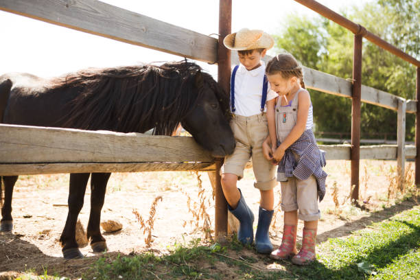 dos niños pequeños el hermano y una hermana con un pony descansan en una granja en el verano - horse child animal feeding fotografías e imágenes de stock