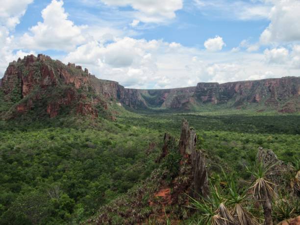 istock Amazing view in Chapada dos Guimaraes National Park 1314964685