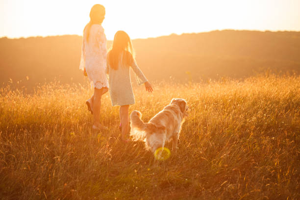 istock Walking away together in golden hour sunset 1314966978