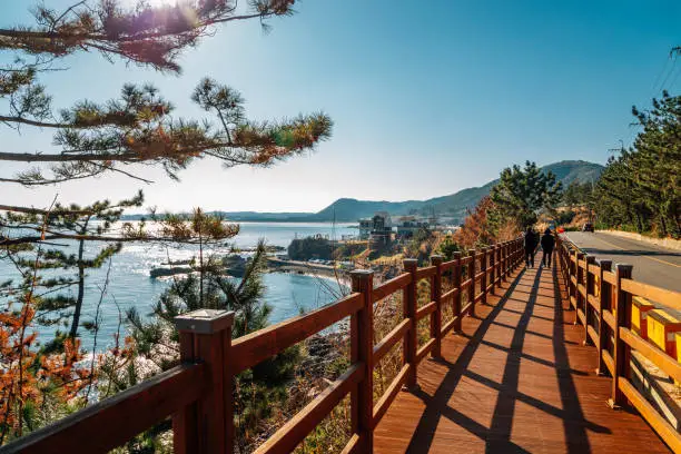 Haeoreum observatory trail and sea in Pohang, Korea