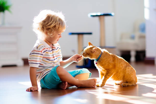 istock Child playing with cat at home. Kids and pets. 1314969327