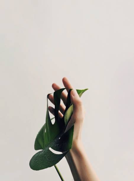 istock Reach your soul 1314970335