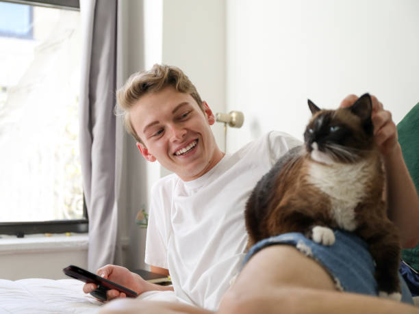 istock Young man smiling at cat as he lays on bed using phone 1314972148