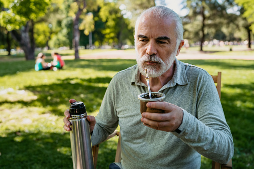Good looking heterosexual senior man drinking yerba mate and sitting in picnic chair in public park.