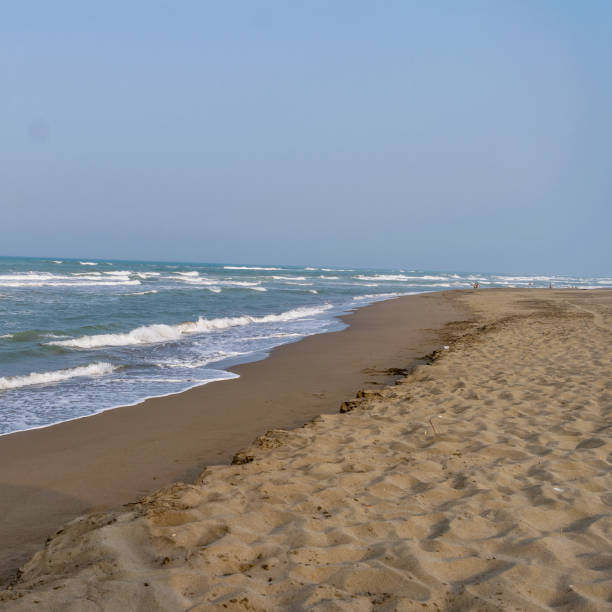 istock The beach of Veracruz mexico 1314976549