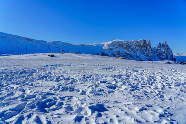 istock Alp of Siusi 1314976612