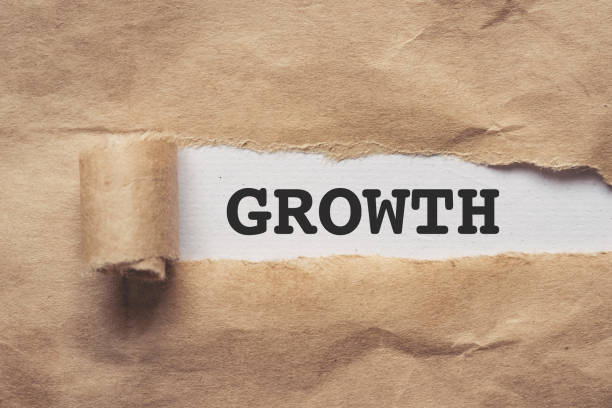 istock Torn brown paper on white background the text growth 1314978263