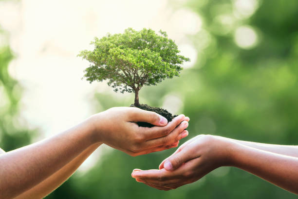 istock hand holding tree on blur green nature background. concept eco earth day 1314984266