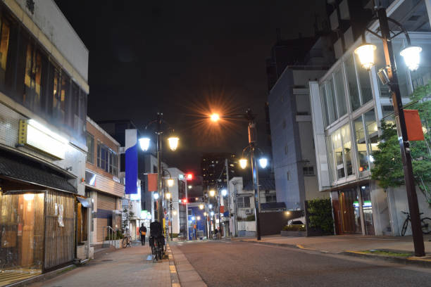 istock Local market street at night (Kagurazaka, Tokyo, Japan) 1314984331