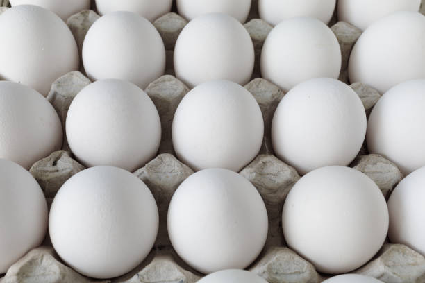 istock white chicken eggs in paper Tray close-up 1314984847