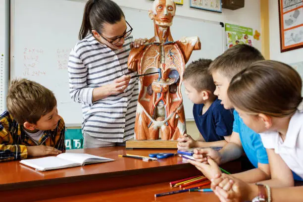 Photo of Biology teacher showing her students anatomy of human body.