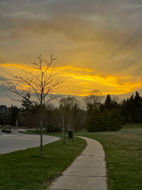 istock Footpath at dusk in woodbridge, Vaughan, Canada 1314985634