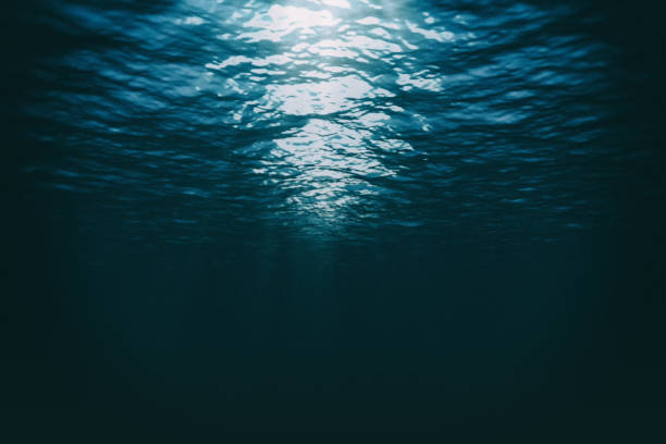 luz solar oscura bajo el agua - en el fondo fotografías e imágenes de stock