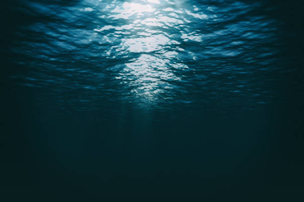Dark under water sun light Blue sea with rays of sunlight, ocean surface seen from underwater deep stock pictures, royalty-free photos & images