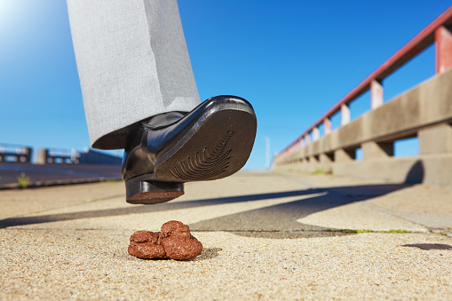 Man's dress shoe about to encounter a messy obstacle as he walks in the street.