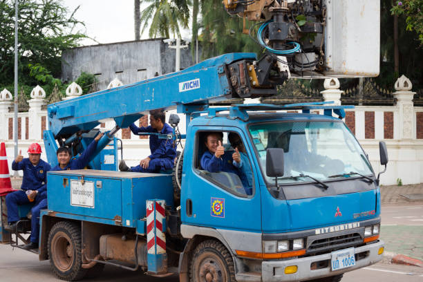Collecting bunches of palm fruit. The result of the oil palm industrial area