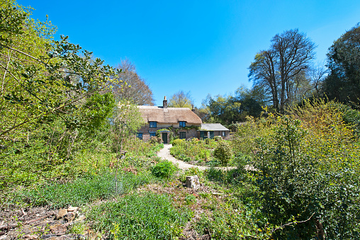 Thomas Hardy's cottage wide angle, Thorncombe Wood, Dorset, England. Bright tranquil Spring days highlight the blue skies and rich colours of the English countryside and contrast with the traditional old style of building architecture found in the cottages, homes and landmarks of the idyllic Dorset landscape, such as the author Thomas Hardy's cottage here, location for books such as Far From the Madding Crowd.