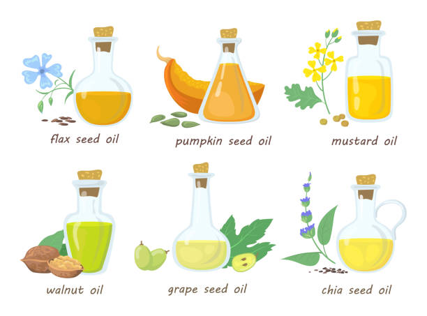 ilustrações, clipart, desenhos animados e ícones de conjunto de óleos de virgem vegetal em potes de vidro - flax seed