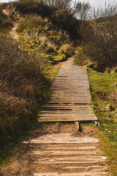 istock Boardwalk through the sand dunes to a quiet sandy beach 1314994188
