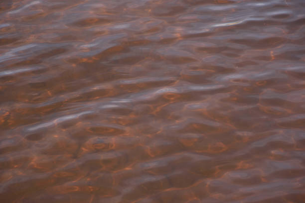 istock The bottom of the river visible through clear water 1314994775