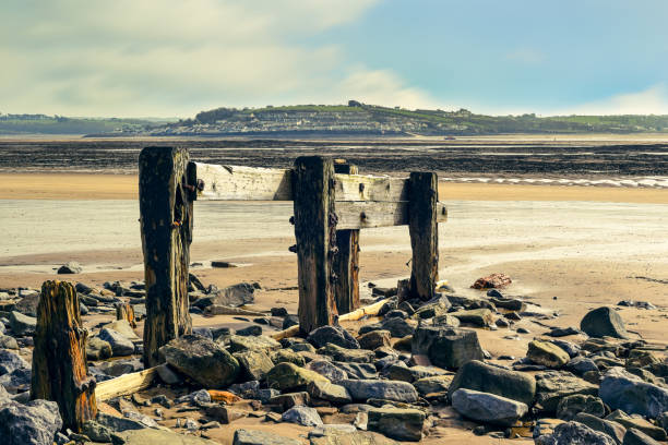 istock Beach landscape with view out to see at low tide 1314994944