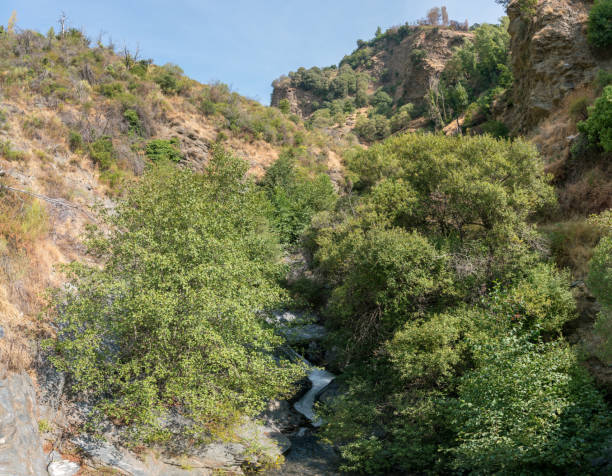 istock Sierra Nevada river in southern Spain 1314999244