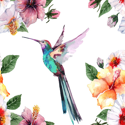 Seamless pattern with tropical fluttering hummingbird bird and bright hibiscus flowers with buds and green leaves. Hand drawn watercolor painting on white background for fabric, textile, wallpaper.