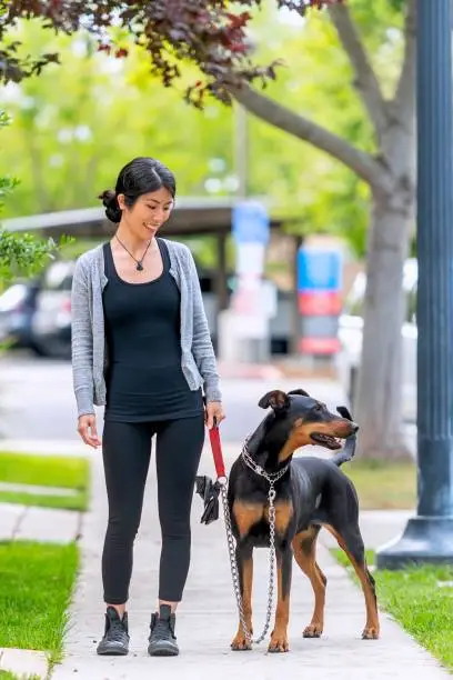 Photo of Smiling mid adult asian woman walking her dog