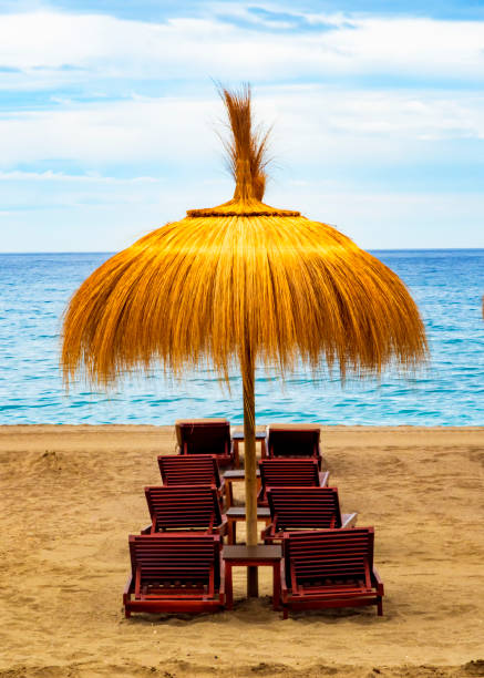 Row of beach umbrellas and sunbeds in Marbella