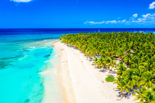 Paradise tropical island nature background. Top aerial drone view of beautiful beach with turquoise sea water and palm trees. Saona island, Dominican republic. Paradise tropical island nature background. Top aerial drone view of beautiful beach with turquoise sea water and palm trees. Saona island, Dominican republic punta cana stock pictures, royalty-free photos & images