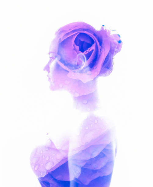 istock The grace of rose 1315008957