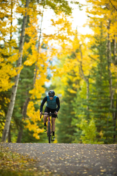 istock Gravel Road Bicycle Ride 1315009210