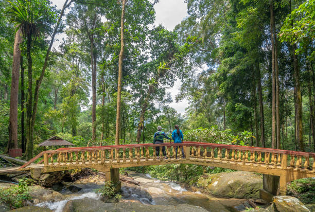 istock Two Woman Walking on Forest Trail 1315009595