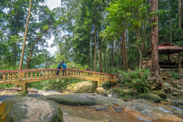 istock Two Woman Walking on Forest Trail 1315009651