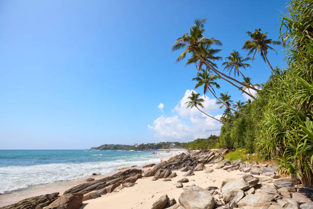 istock Tropical beach on a sunny summer day. 1315010465