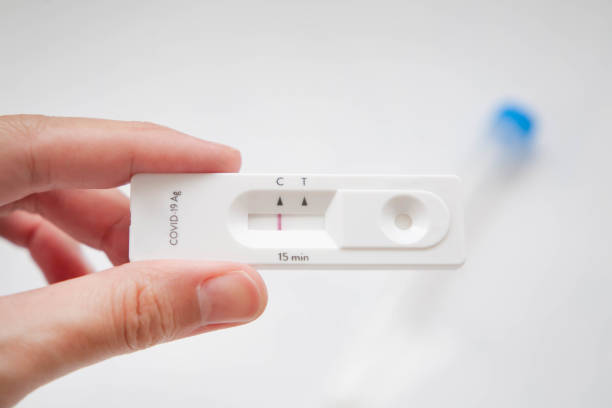 Hand holding rapid test kit for detecting coronavirus antigen Single mark on C area, which mean negative result, Virus was not detected. Selective focus antigen stock pictures, royalty-free photos & images