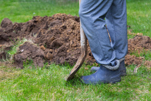 발굴 된 땅 클로즈업 근처 삽고무 부츠를 입은 남자의 다리. - burying 뉴스 사진 이미지