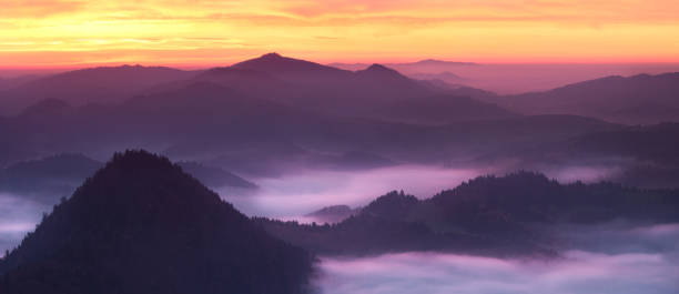 istock Beautiful view of the mountain landscape 1315014764