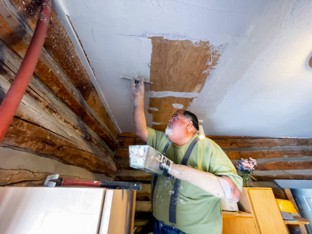 istock Disabled Dry Wall Contractor, Patching A Ceiling Using A Drywall Tray He Made To Use With His Prosthetic Hook 1315019743