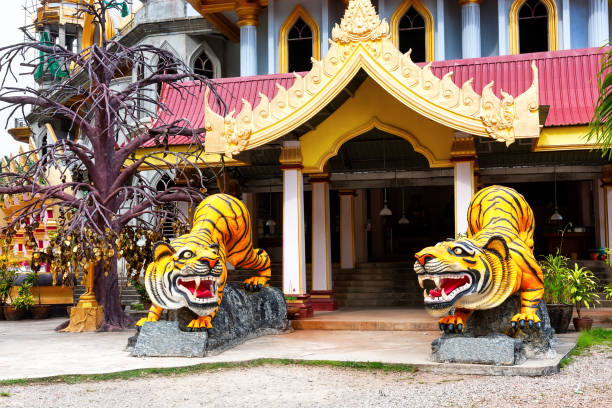 Statues of tigers at entrance to buddhist pagoda Tham Suea near Tiger Cave Temple in Krabi, Thailand. Statues of tigers at entrance to buddhist pagoda Tham Suea near Tiger Cave Temple in Krabi, Thailand. Chedi at the Tiger Cave Temple, Krabi, South of Thailand. wat tham sua stock pictures, royalty-free photos & images