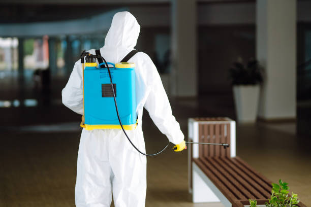 istock Disinfecting of office to prevent COVID-19, 1315026968
