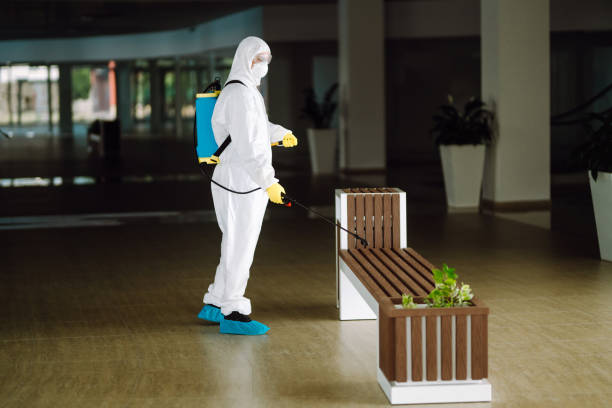 istock Disinfecting of office to prevent COVID-19, 1315026996