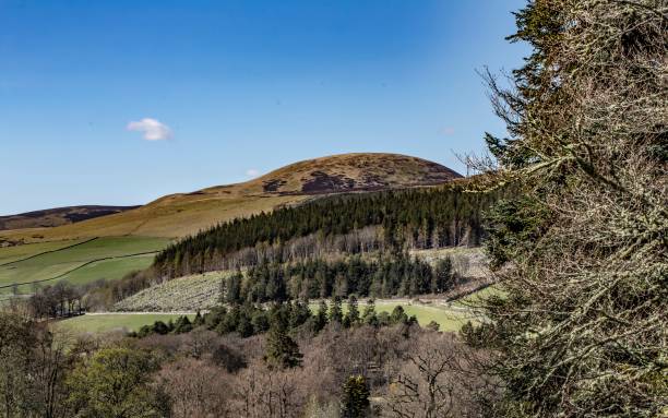 istock Hill Range Near Peebles, Scotland. 1315028834