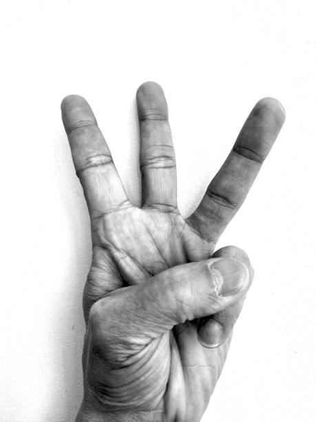 istock Hand signals and gestures in black and white 1315028982