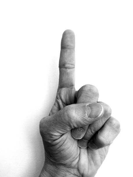 istock Hand signals and gestures in black and white 1315028987