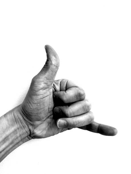 istock Hand signals and gestures in black and white 1315028996