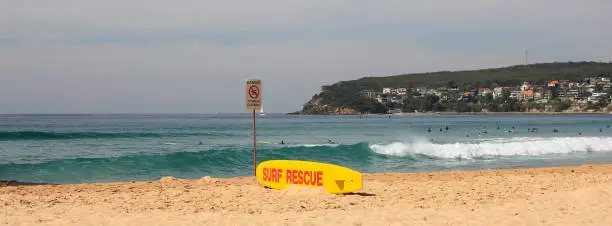 Photo of Life saving board, Manly beach.