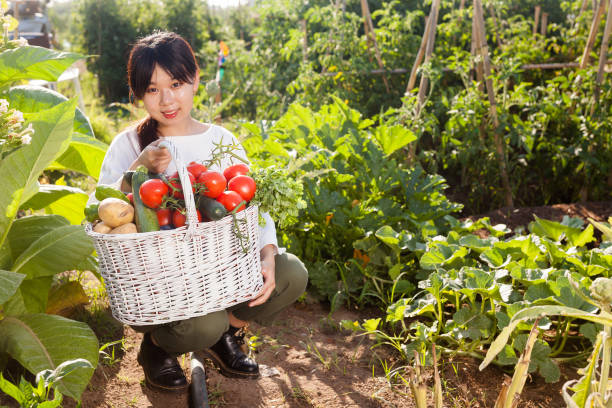 istock Girl sitting among garden beds 1315030977