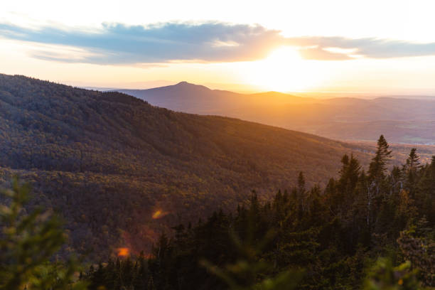 istock Looking down the valley with orange and yellow maple trees on a sunrise 1315031290